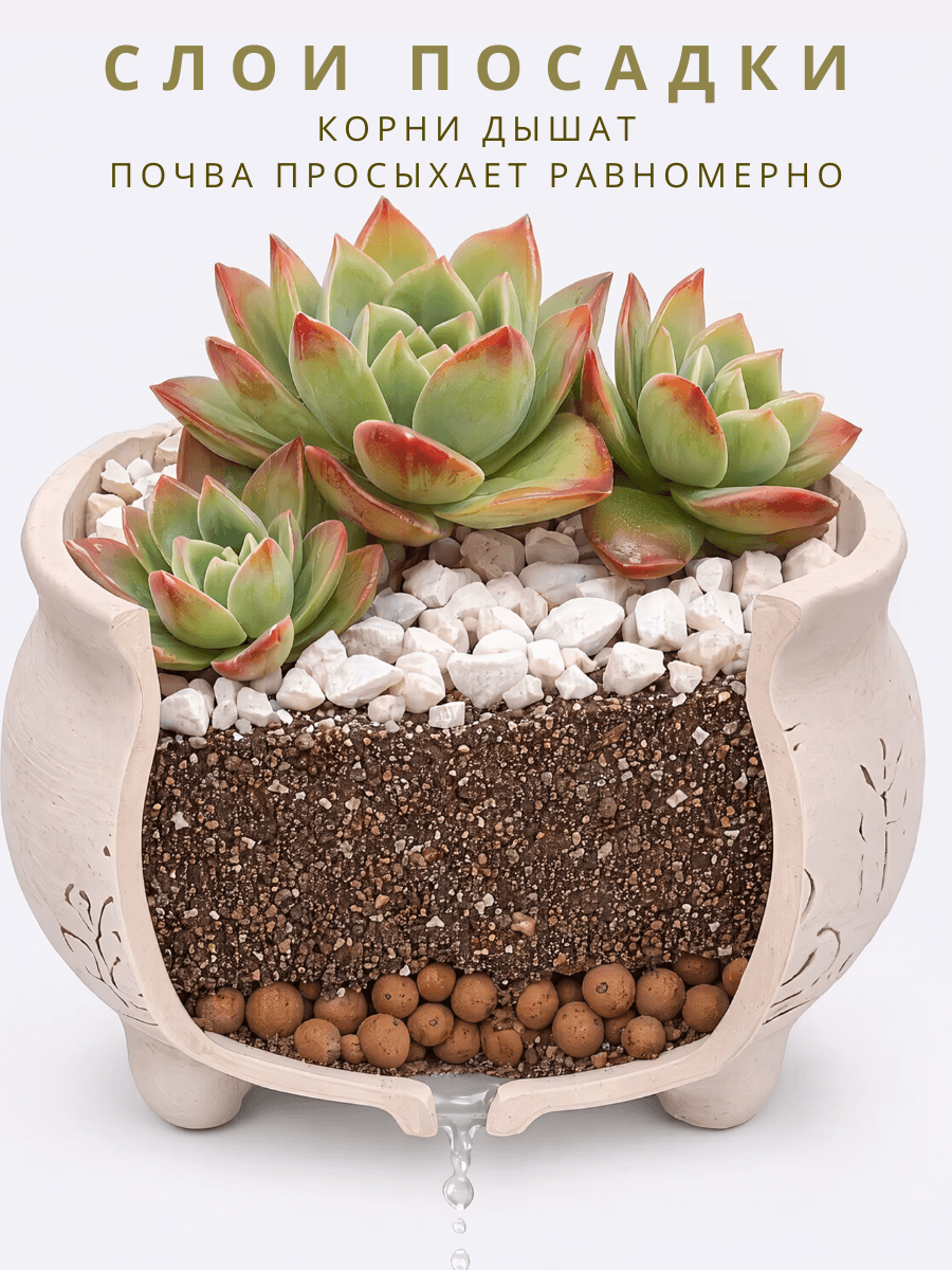 Горшок для кактусов и суккулентов керамика "Мельница" 6 шт — фото 8