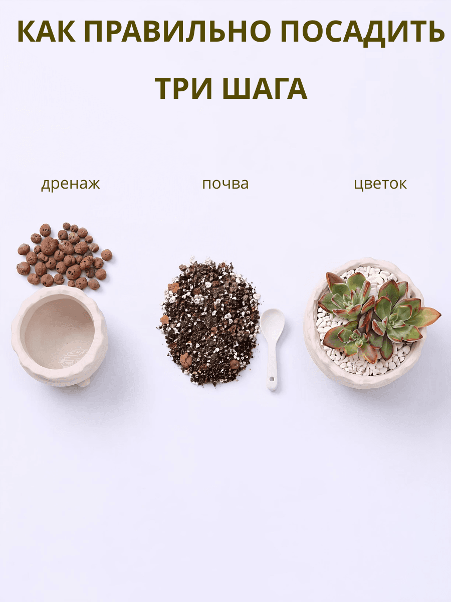 Горшок для кактусов и суккулентов керамика "Поросята" 6 шт — фото 7