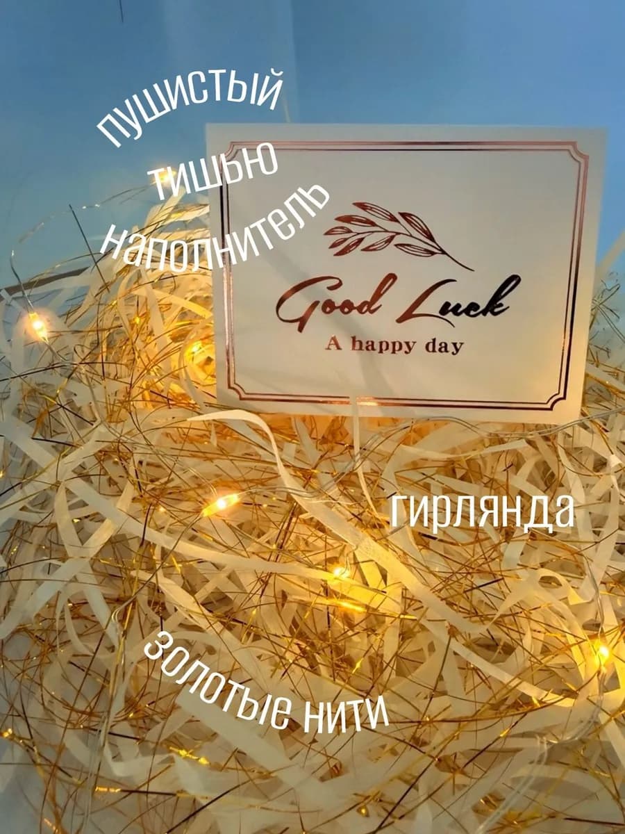 Подарочный пакет с гирляндой золотая лента 27х23 — фото 4